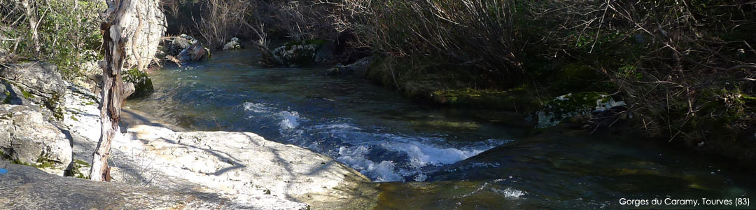 Gorges du Caramy (83)