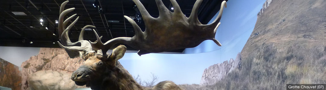Reconstitution de la faune - Grotte Chauvet