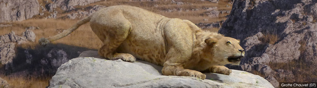 Reconstitution de la faune - Grotte Chauvet