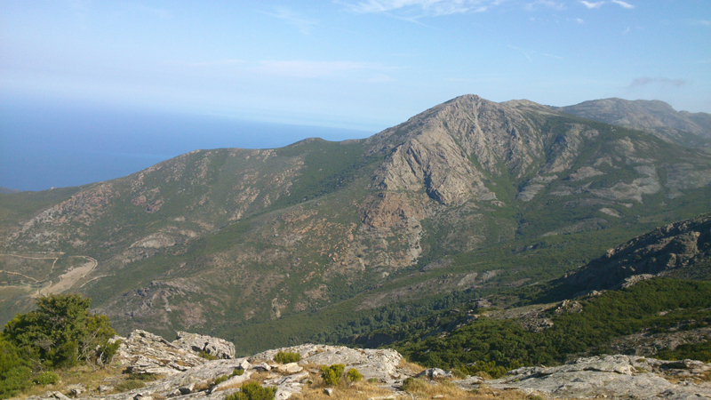Paysage Thèse Magott