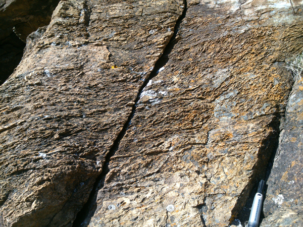 Détail