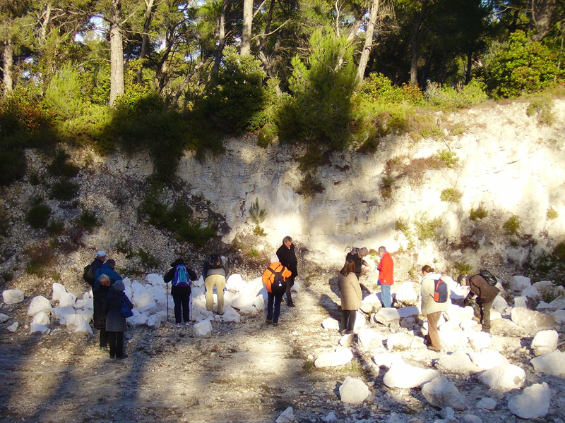 Collecte de fossiles dans la petite carrière