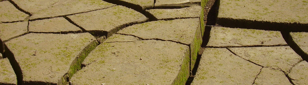 Sortie Bimont - Fentes de dessiccation dans les sédiments