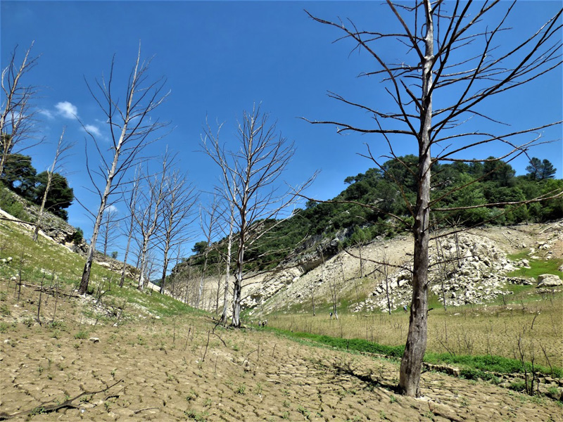 Barrage de Bimont asseché