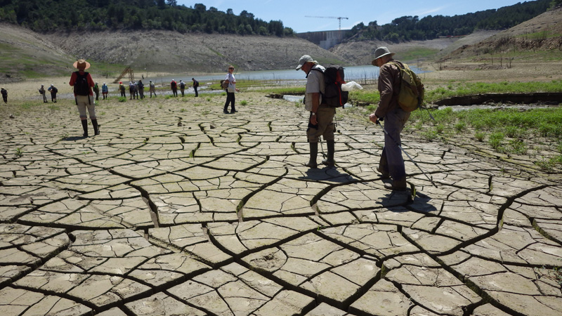 Barrage de Bimont Fentes de retrait de la boue en voie de compaction et débitée en polygones aux faces courbes