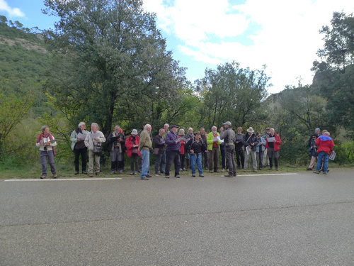 Sortie Tectonique salifère - Haut Var - Membres de l'AGSE devant le premier affleurement