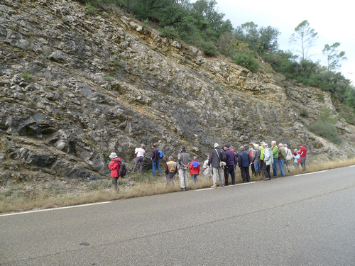 Sortie Tectonique salifère - Haut Var - Observation de l'affleurement 1