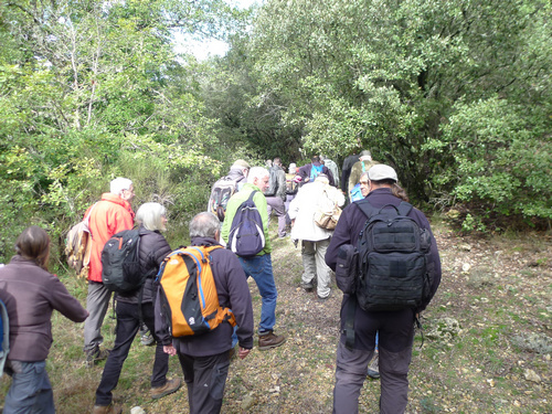 Sortie Tectonique salifère - Haut Var - En route vers la carrière de gypse