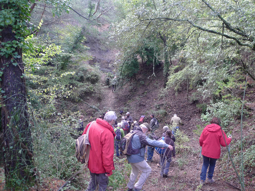 Sortie Tectonique salifère - Haut Var - Carrière de gypse