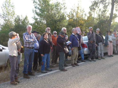 Sortie Tectonique salifère - Haut Var -Attentifs aux explications de Nicolas Espurt