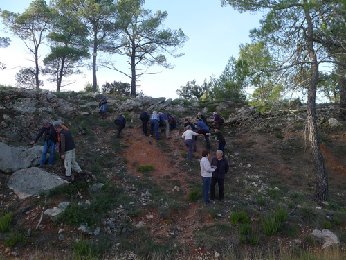 Sortie Tectonique salifère - Haut Var - Roches détritiques