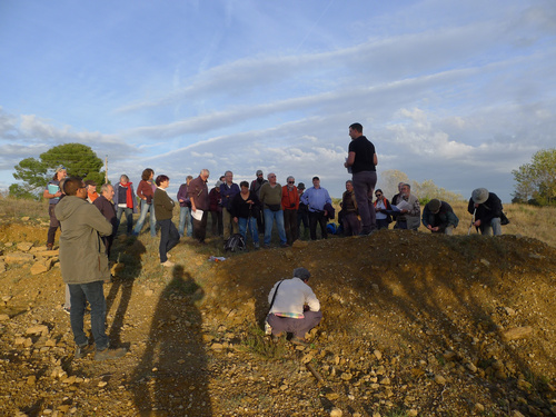 Sortie Tectonique salifère - Haut Var - Site de Fox-amphoux