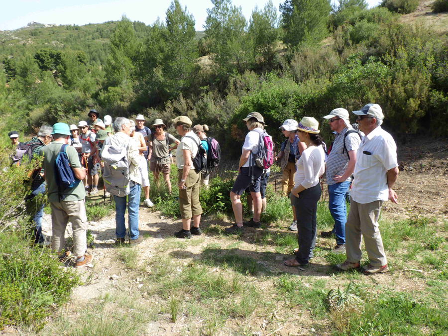 Patrick Gaviglio et le groupe dans les Alpilles