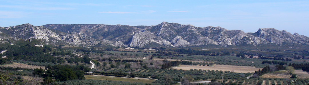 Paysage des Alpilles