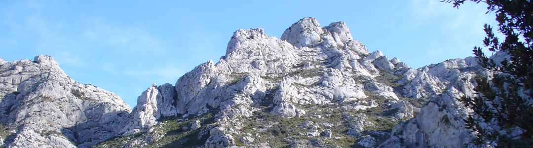 Paysage des Alpilles