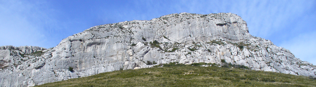 Paysage des Alpilles