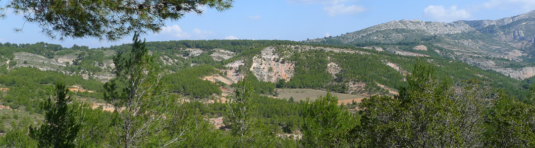 Réserve naturelle de Sainte-Victoire