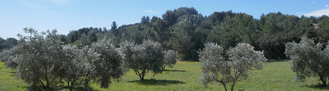 Les Baux de Provence