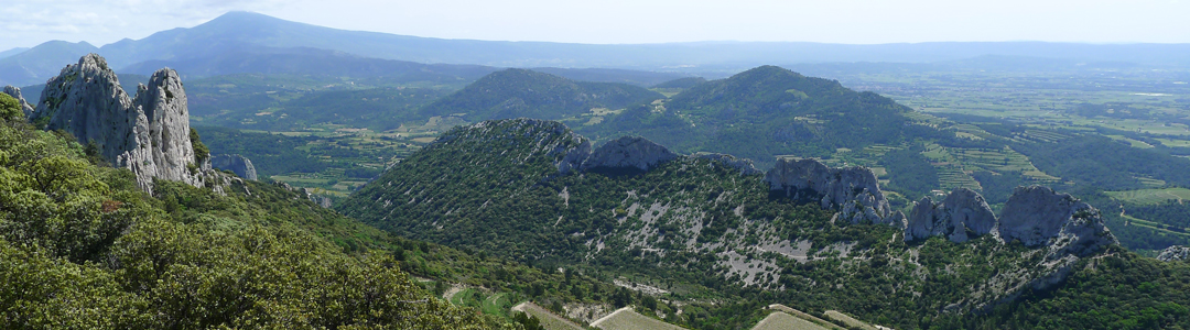 Dentelles de Montmirail