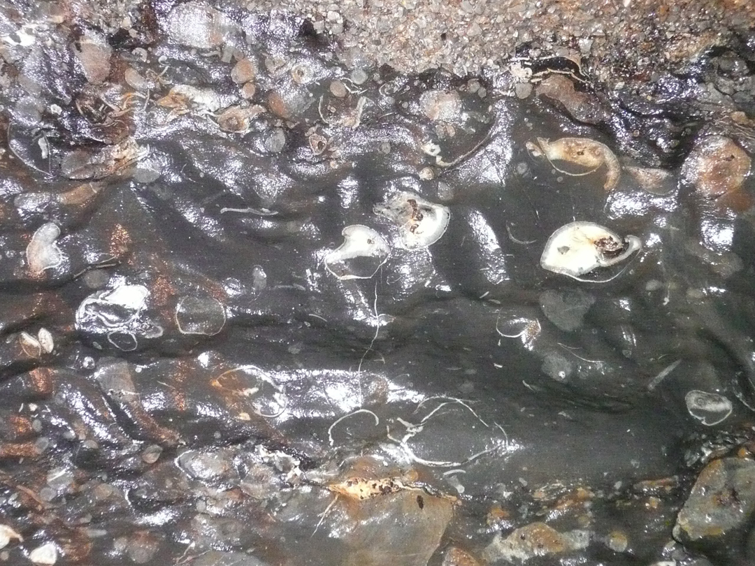 Grotte de Lorette critères de polarité