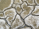 Mudcracks Camargue