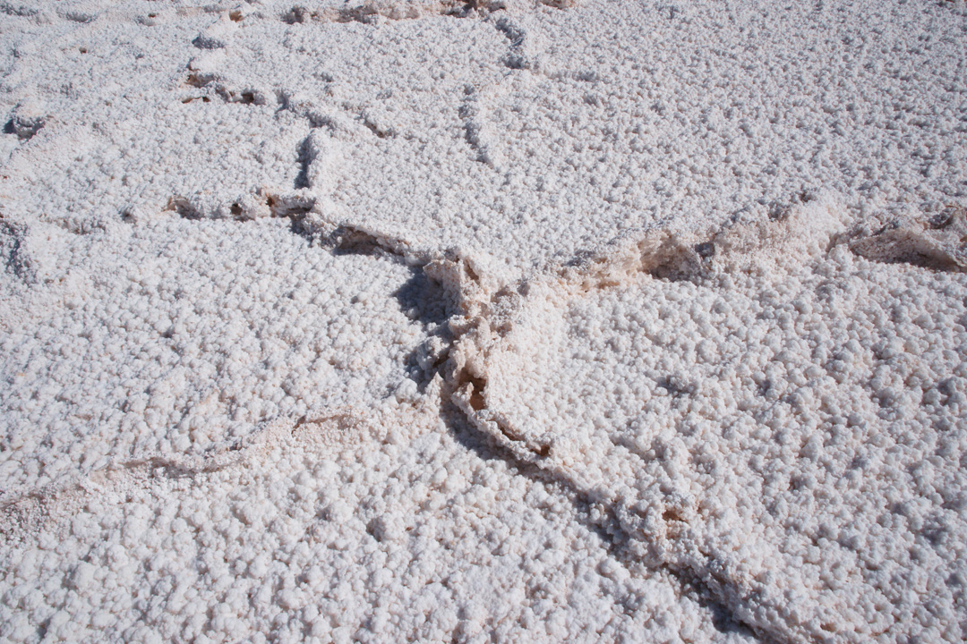 Croûtes de halite avec les fentes polygonales