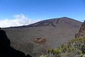 Formica Leo Enclos du Piton de la fournaise
