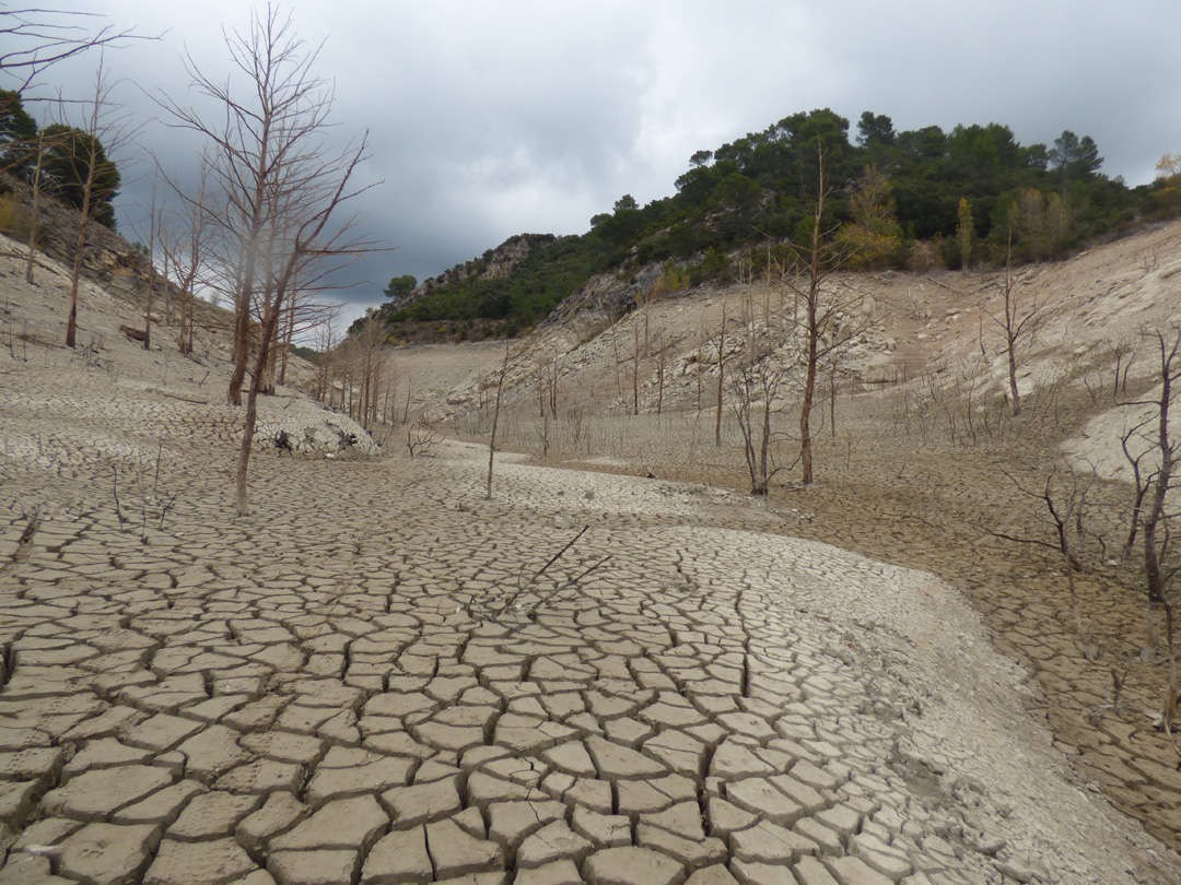 Barrage de Bimont asseché, fentes de dessiccation