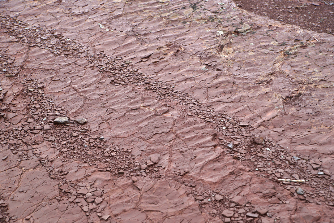 Point sublime" dominant les gorges de Daluis - Ripple marks et fentes de dessiccation dans les pélites permiennes