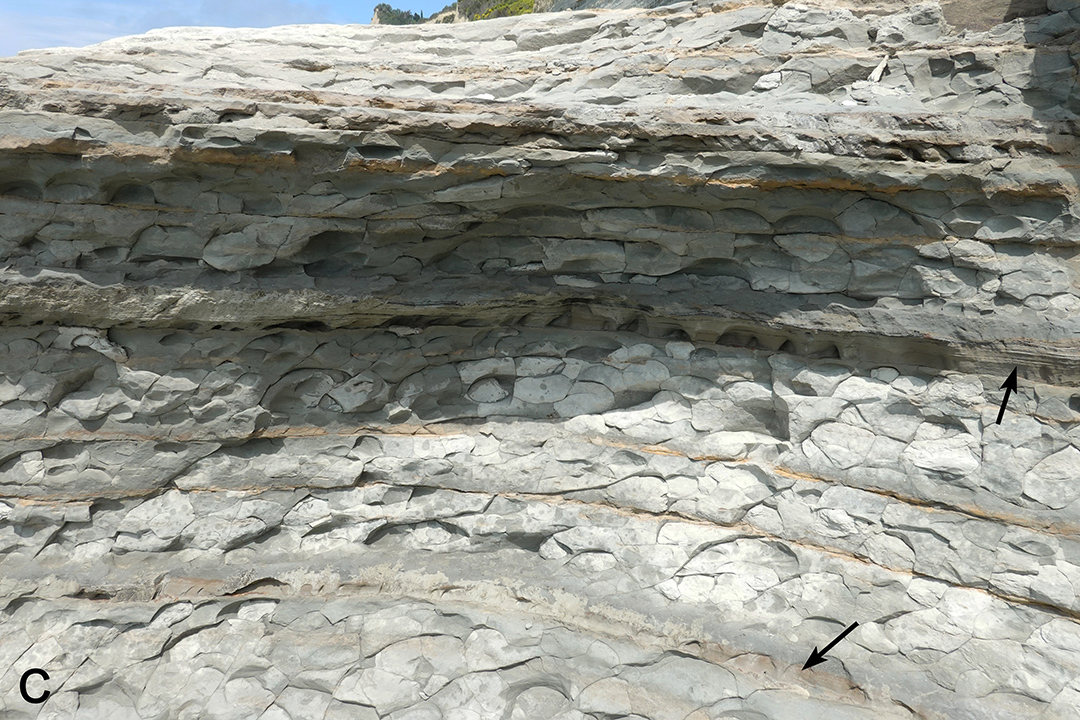 Détail de dépôts au pied de la falaise - Courfu - Péroulades