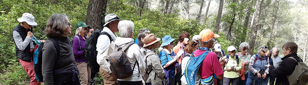 JNG - Alpilles - Sortie et assistance
