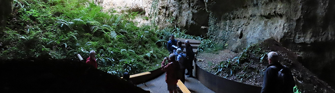 Le groupe dans les phospatières