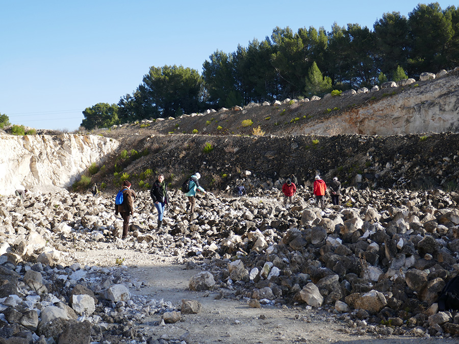 A la recherche des rudistes perdus